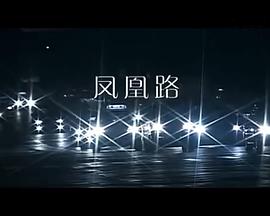 凤凰路图片 凤凰路图片