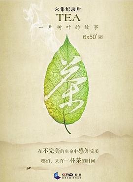 茶,一片树叶的故事图片 茶,一片树叶的故事图片