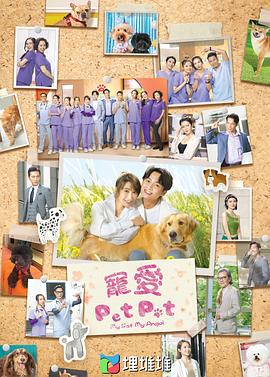 宠爱PetPet图片 宠爱PetPet图片