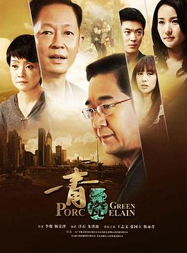 青瓷王志文版图片 青瓷王志文版图片