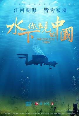 水下·你未见的中国图片 水下·你未见的中国图片