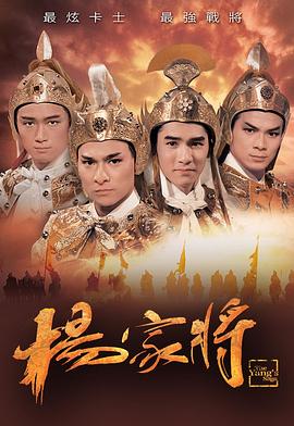 杨家将国语刘德华版图片