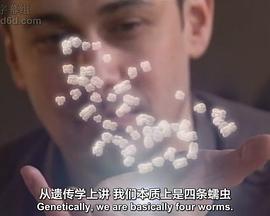 基因密码图片 基因密码图片