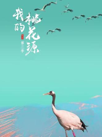 我的桃花源第三季图片 我的桃花源第三季图片