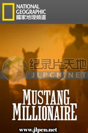 百万驯马大赛图片