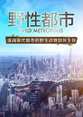 野性都市图片 野性都市图片