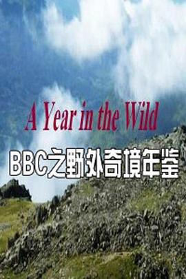 野外奇境年鉴图片 野外奇境年鉴图片