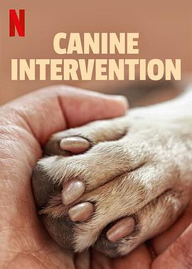 犬类干预图片