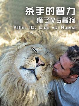 杀手的智力:狮子VS鬣狗图片 杀手的智力:狮子VS鬣狗图片