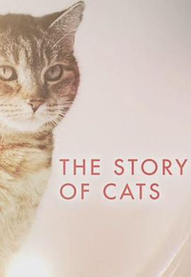 猫科动物的故事图片 猫科动物的故事图片