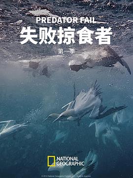 失败掠食者第一季图片