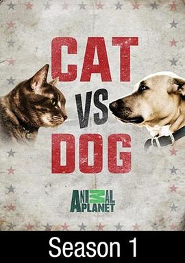 猫狗大战综艺图片 猫狗大战综艺图片