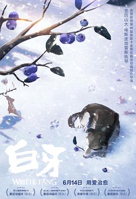 白牙法语图片