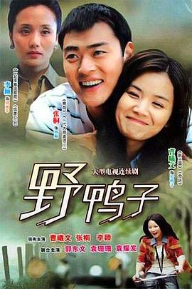 野鸭子图片 野鸭子图片