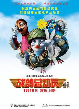 战鸽总动员图片 战鸽总动员图片