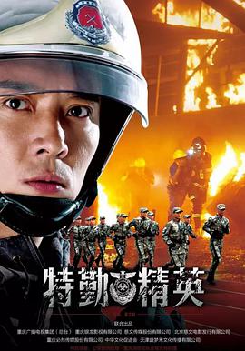 特勤精英[DVD版]图片