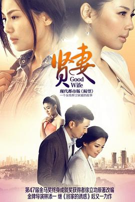 贤妻2013图片
