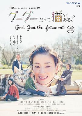 咕咕是一只猫2图片 咕咕是一只猫2图片