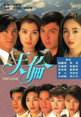 天伦1993图片