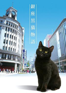 银座黑猫物语图片 银座黑猫物语图片