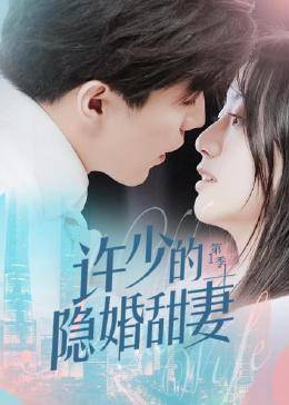 许少的隐婚甜妻第一季图片
