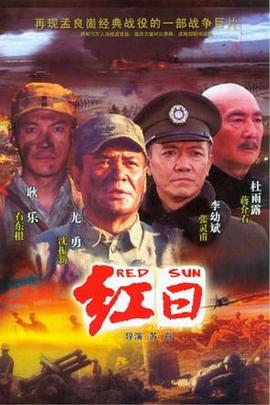 红日2008图片