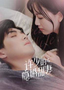 许少的隐婚甜妻第二季图片
