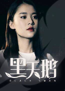 黑天鹅图片 黑天鹅图片