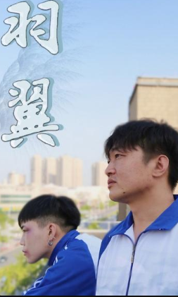 羽翼图片 羽翼图片