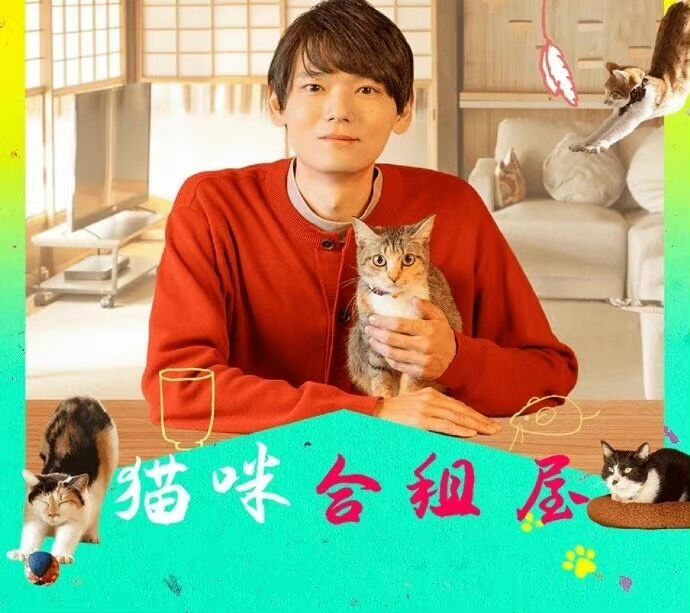 猫咪合租屋图片 猫咪合租屋图片