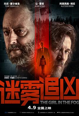 迷雾追凶图片