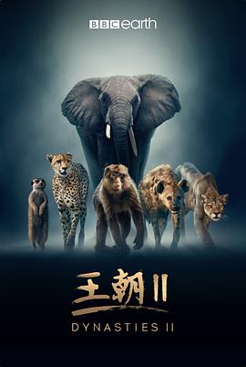 王朝第二季图片 王朝第二季图片