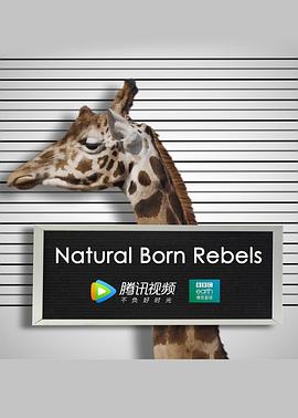 你这个坏怂图片 你这个坏怂图片