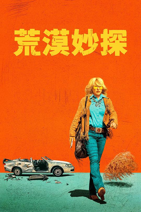 荒漠妙探图片