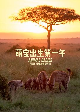 萌宝出生第一年图片