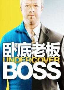 卧底老板第三季图片