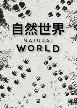 自然世界第一季图片 自然世界第一季图片