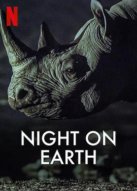 地球的夜晚图片