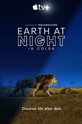 夜色中的地球第一季图片 夜色中的地球第一季图片