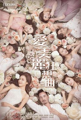 爱美丽狂想曲粤语图片