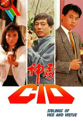 神勇CID图片