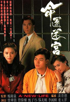 命运迷宫图片