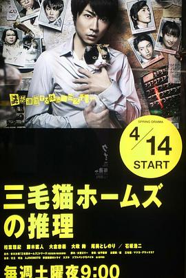 三花猫福尔摩斯的推理图片 三花猫福尔摩斯的推理图片