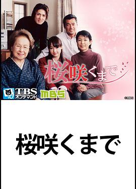 直到樱花绽放图片 直到樱花绽放图片
