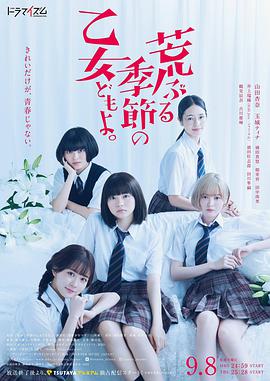 骚动时节的少女们啊图片 骚动时节的少女们啊图片