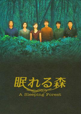 沉睡的森林图片 沉睡的森林图片