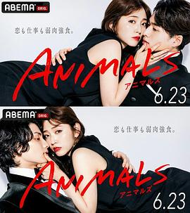 ANIMALS归国篇图片