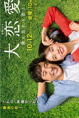 大恋爱:与将我忘记的你图片