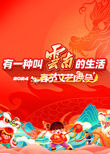 2024年云南省春节文艺晚会图片 2024年云南省春节文艺晚会图片