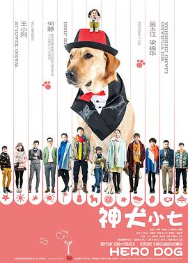 神犬小七第一季图片